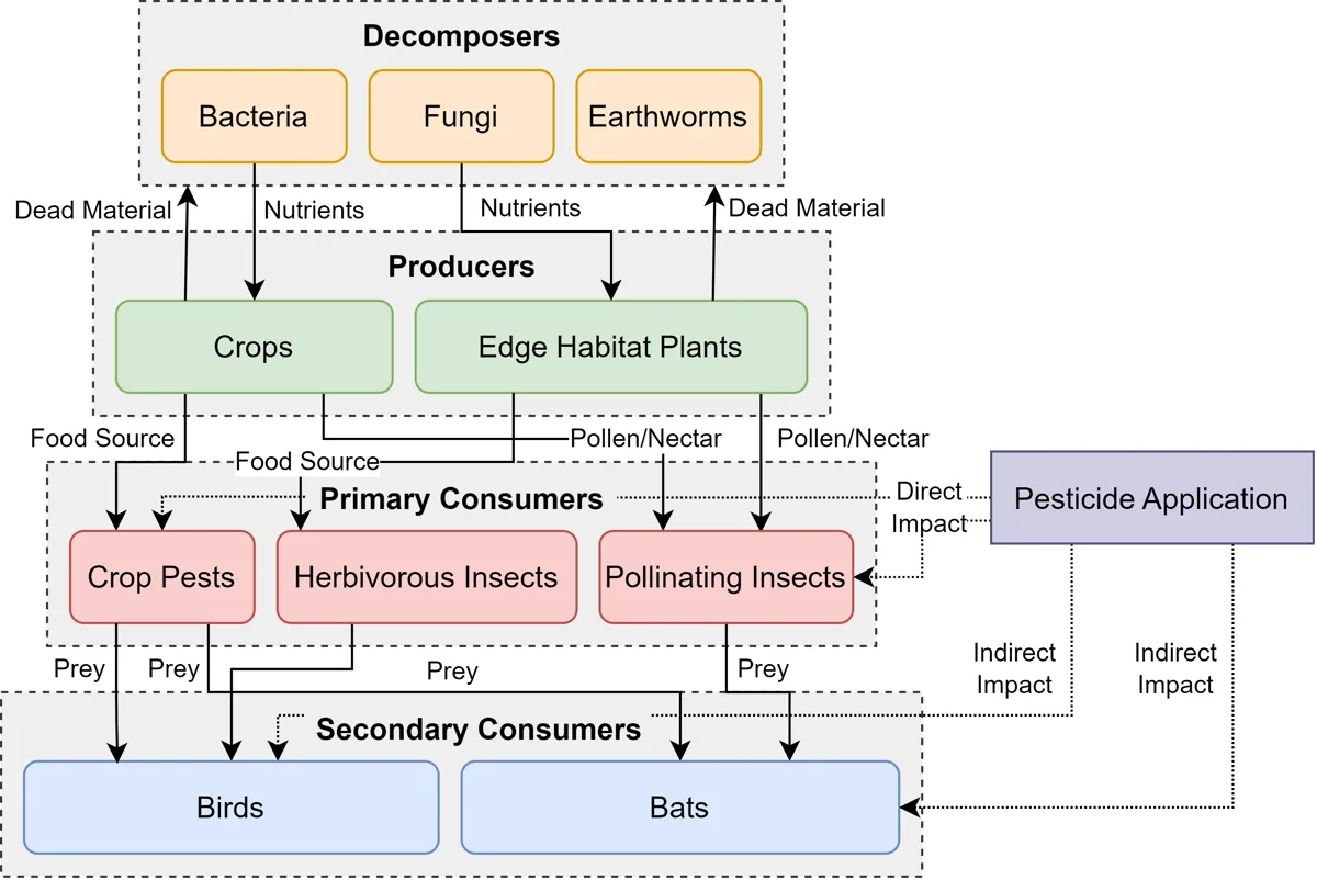 Food chain network